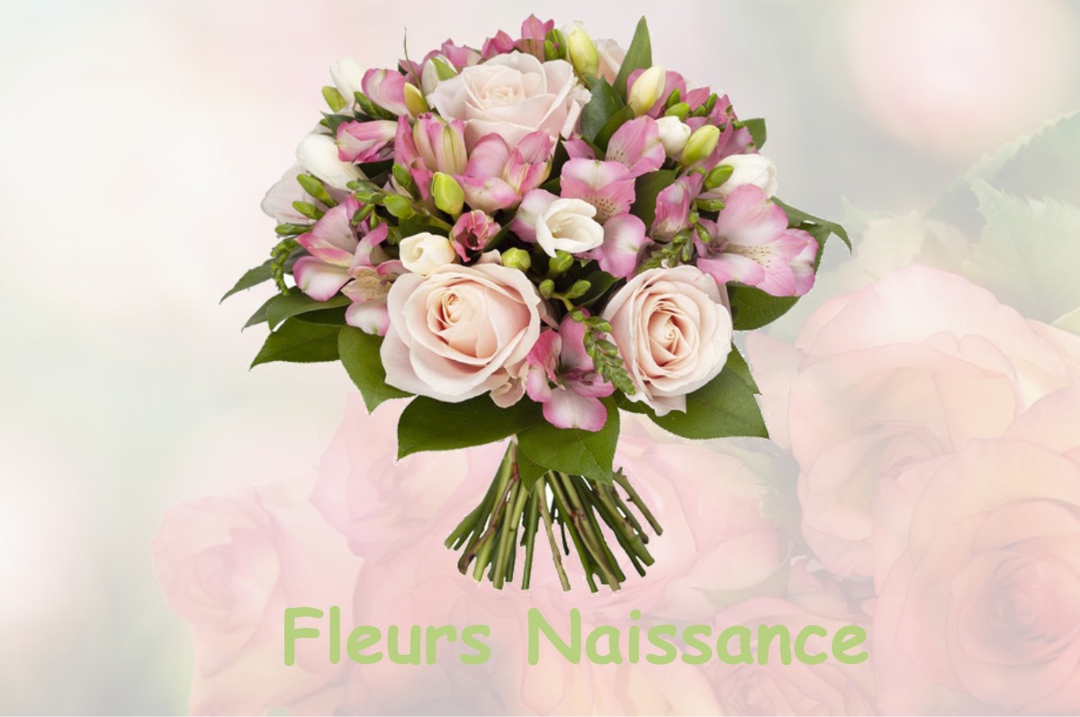 fleurs naissance TROISFONTAINES-LA-VILLE